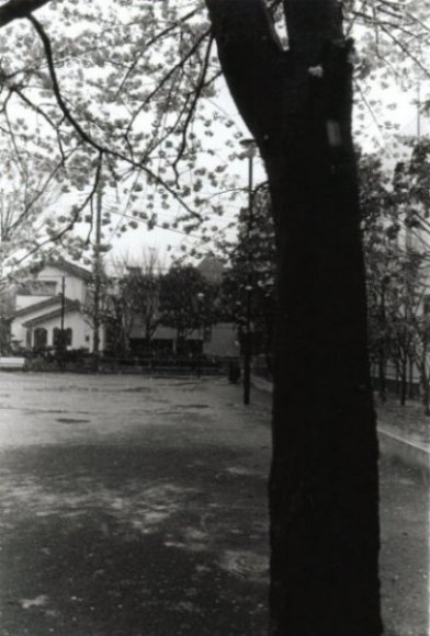 坂本紘子さんの写真