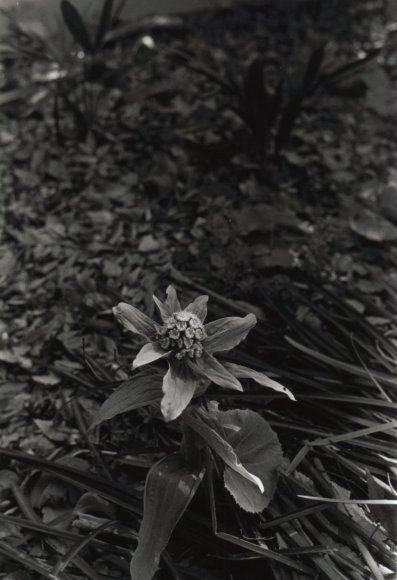 坂本紘子さんの写真